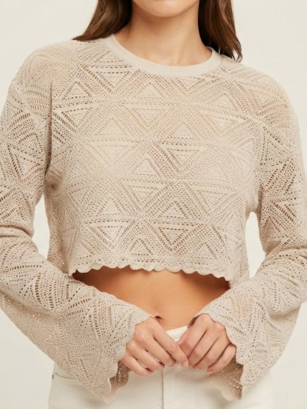 Beige Crochet Long-Sleeve Crop Top
